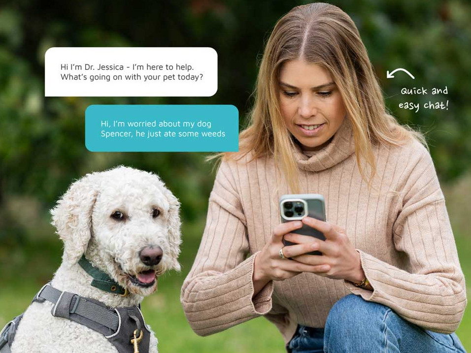 VetChat Chat with a Vet Online 24 7 Speak to a Vet Now